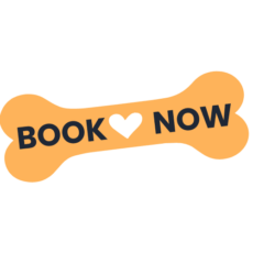 Book Now