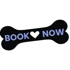 Book Now